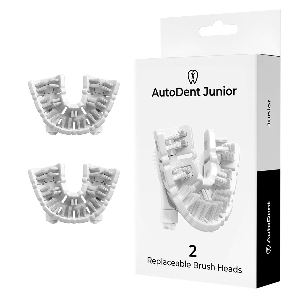 2 Replacement Brush Heads