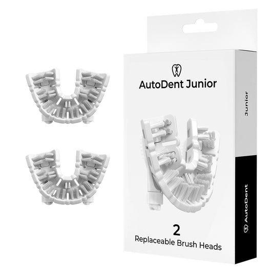 2 Replacement Brush Heads