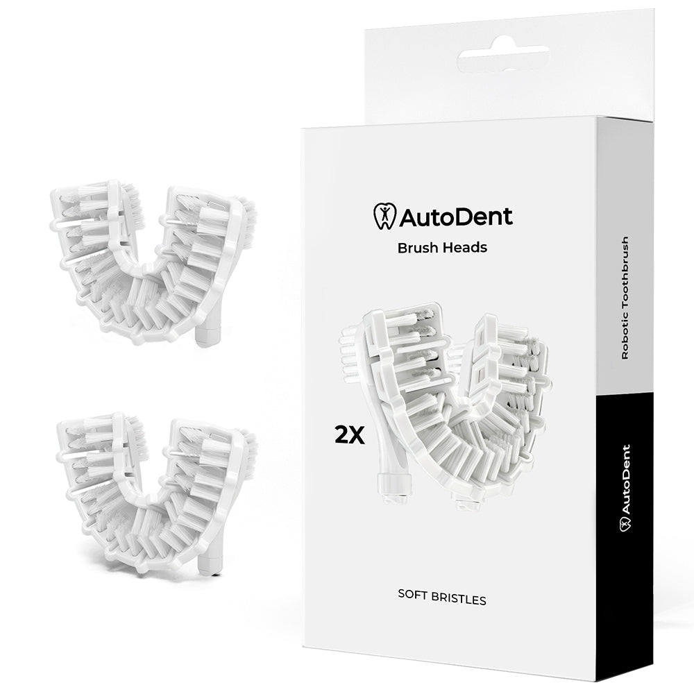 2 replacement brush heads - wholesale